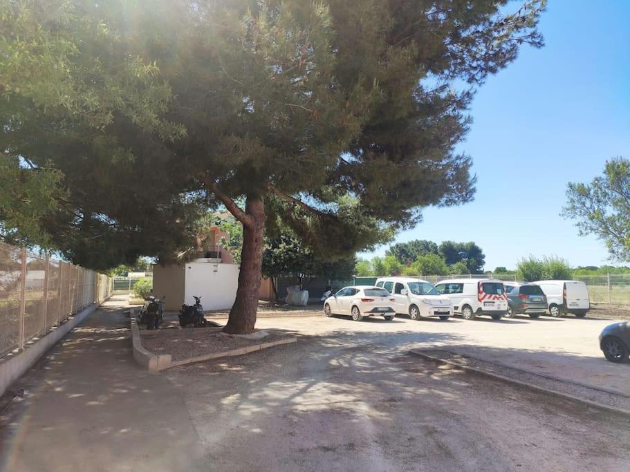 Harmonie Du Sud Apartment Le Grau-d'Agde ภายนอก รูปภาพ